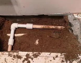 开江测漏水哪家好